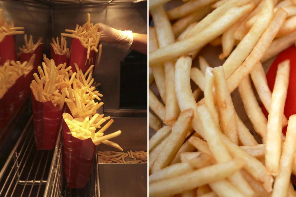 The best fast food fries for 2024 ranked